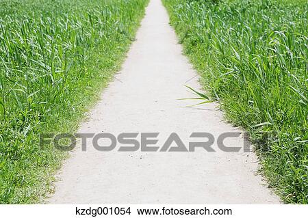 Picture - Mizumoto Park, Tokyo, Japan. Fotosearch