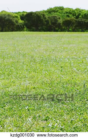 Mizumoto Park, Tokyo, Japan View Large Photo Image Stock Image - Mizumoto Park, Tokyo, Japan. Fotosearch