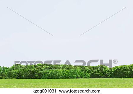 Mizumoto Park, Tokyo, Japan View Large Photo Image Stock Image - Mizumoto Park, Tokyo, Japan. Fotosearch