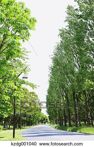 Stock Image - Mizumoto Park, Tokyo, Japan. Fotosearch