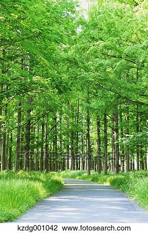 Stock Image - Mizumoto Park, Tokyo, Japan. Fotosearch