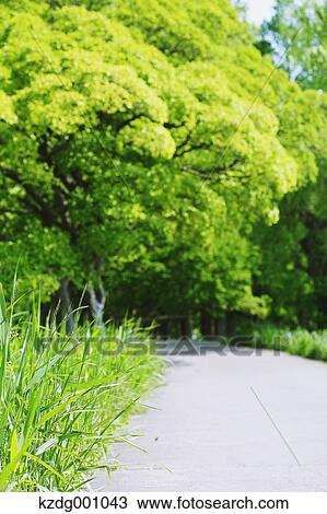 Stock Image - Mizumoto Park, Tokyo, Japan. Fotosearch
