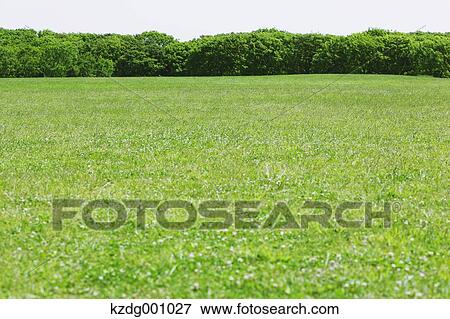 Stock Photo - Mizumoto Park, Tokyo, Japan. Fotosearch