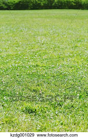 Stock Photo - Mizumoto Park, Tokyo, Japan. Fotosearch