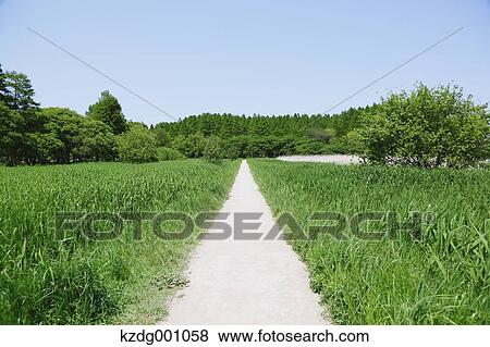 Stock Photo - Mizumoto Park, Tokyo, Japan. Fotosearch
