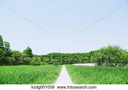 Stock Photo - Mizumoto Park, Tokyo, Japan. Fotosearch