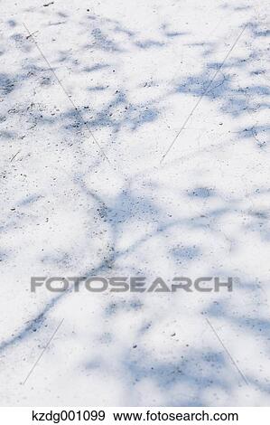 Stock Photo - Mizumoto Park, Tokyo, Japan. Fotosearch