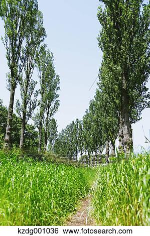 Stock Photograph - Mizumoto Park, Tokyo, Japan. Fotosearch