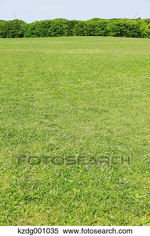 Stock Photography - Mizumoto Park, Tokyo, Japan. Fotosearch