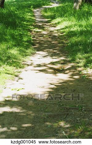 Stock Photography - Mizumoto Park, Tokyo, Japan. Fotosearch