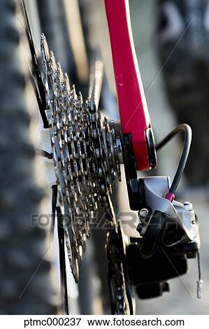 Mountain bike in the Bologna countryside, Italy View Large Photo Image Stock Photo - Mountain bike in the Bologna countryside, Italy. Fotosearch