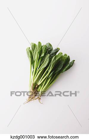 Organic spinach View Large Photo Image Stock Image - Organic spinach . Fotosearch