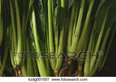 Organic Spinach View Large Photo Image Stock Photo - Organic Spinach . Fotosearch