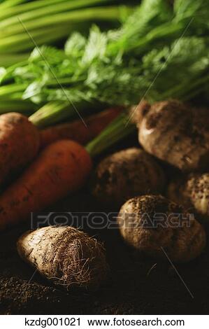 Stock Image - Organic vegetables. Fotosearch
