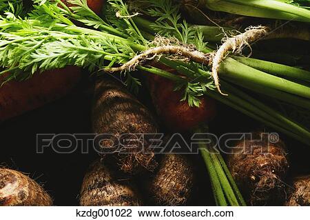 Stock Image - Organic vegetables. Fotosearch