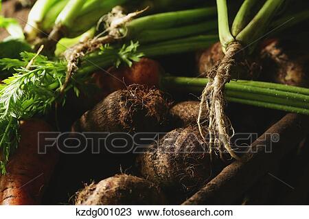 Stock Image - Organic vegetables. Fotosearch
