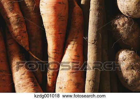 Stock Photo - Organic vegetables. Fotosearch