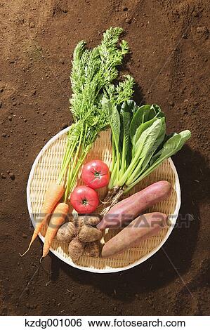 Organic vegetables View Large Photo Image Stock Photograph - Organic vegetables. Fotosearch