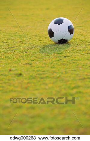 Soccer ball on soccer field View Large Photo Image Stock Photo - Soccer ball on soccer field. Fotosearch