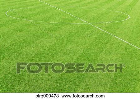 Soccer field View Large Photo Image Stock Photo - Soccer field. Fotosearch