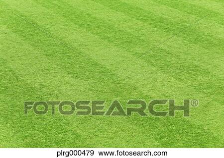 Soccer field View Large Photo Image Stock Photo - Soccer field. Fotosearch