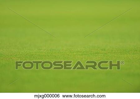 Soccer ground View Large Photo Image Stock Photograph - Soccer ground. Fotosearch