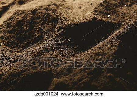 Picture - Soil . Fotosearch