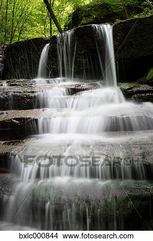 Water stream in a forest in Tuscany, Italy View Large Photo Image Picture - Water stream in a forest in Tuscany, Italy. Fotosearch