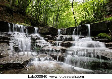 Water stream in a forest in Tuscany, Italy View Large Photo Image Stock Image - Water stream in a forest in Tuscany, Italy. Fotosearch