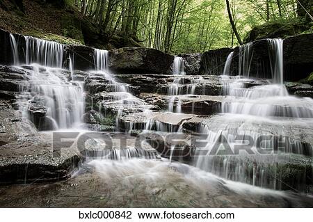 Water stream in a forest in Tuscany, Italy View Large Photo Image Stock Image - Water stream in a forest in Tuscany, Italy. Fotosearch