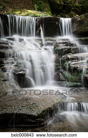 Water stream in a forest in Tuscany, Italy View Large Photo Image Stock Image - Water stream in a forest in Tuscany, Italy. Fotosearch