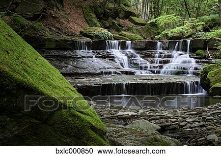 Water stream in a forest in Tuscany, Italy View Large Photo Image Stock Image - Water stream in a forest in Tuscany, Italy. Fotosearch