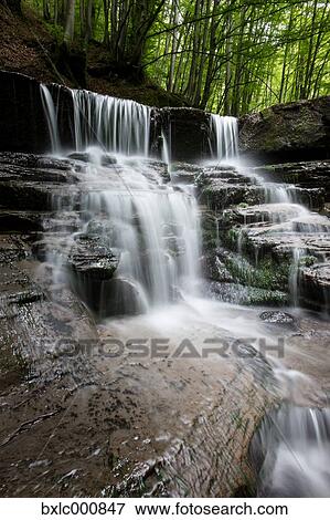Water stream in a forest in Tuscany, Italy View Large Photo Image Stock Photo - Water stream in a forest in Tuscany, Italy. Fotosearch