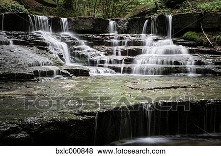 Water stream in a forest in Tuscany, Italy View Large Photo Image Stock Photo - Water stream in a forest in Tuscany, Italy. Fotosearch