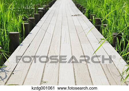 Wooden deck at Mizumoto Park, Tokyo, Japan View Large Photo Image Stock Image - Wooden deck at Mizumoto Park, Tokyo, Japan. Fotosearch