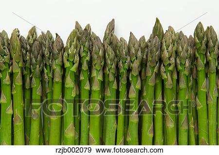 Stock Photo - Asparagus. Fotosearch