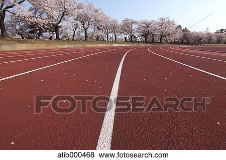 Stock Photo - Athletic field. Fotosearch