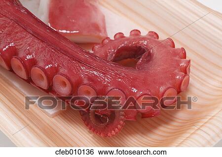 Boiled Octopus View Large Photo Image Stock Photograph - Boiled Octopus. Fotosearch