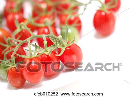 Cherry tomatoes View Large Photo Image Stock Image - Cherry tomatoes. Fotosearch