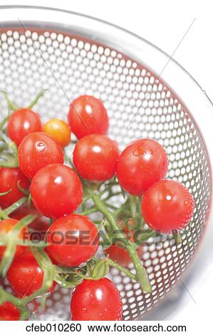Stock Image - Cherry tomatoes. Fotosearch