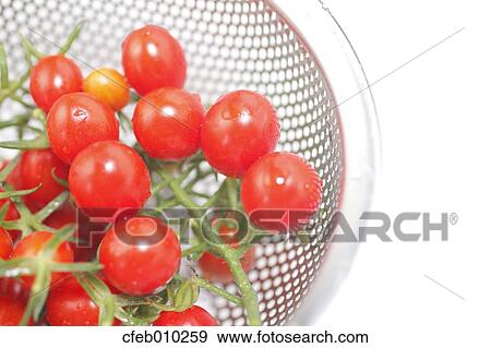 Cherry tomatoes View Large Photo Image Stock Photo - Cherry tomatoes. Fotosearch