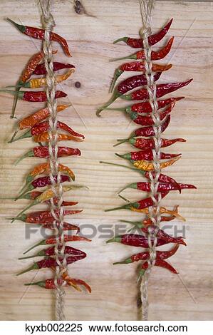Chilly Pepper View Large Photo Image Stock Photography - Chilly Pepper. Fotosearch