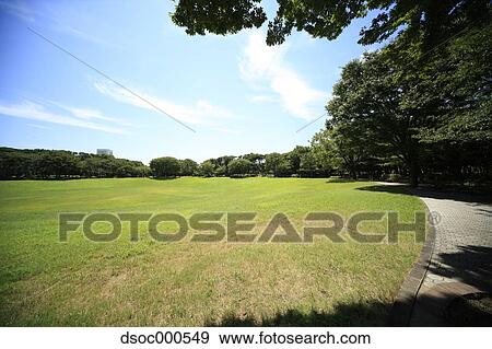 Stock Photo - City park. Fotosearch