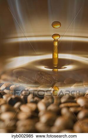 Stock Photography - Coffee. Fotosearch