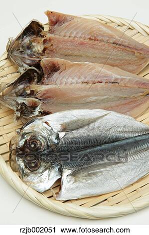 Dried Mackerel View Large Photo Image Stock Image - Dried Mackerel. Fotosearch