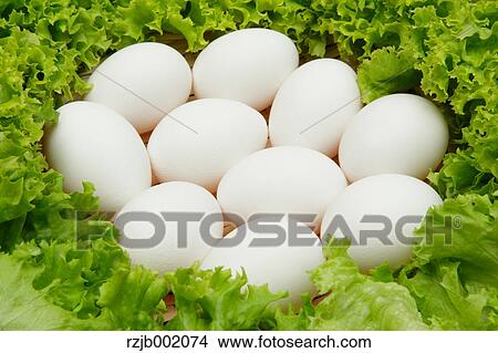 Eggs View Large Photo Image Picture - Eggs. Fotosearch