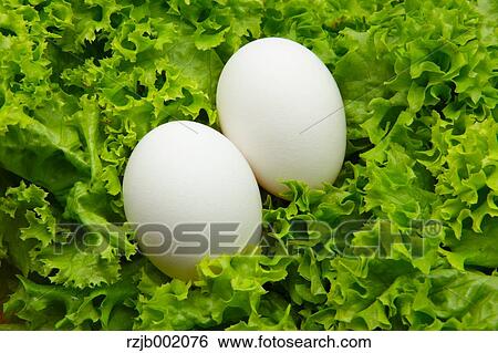 Stock Photograph - Eggs. Fotosearch