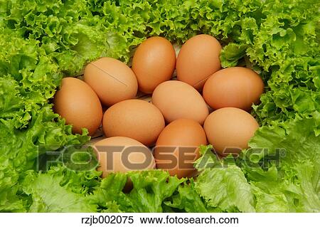 Eggs View Large Photo Image Stock Photography - Eggs. Fotosearch