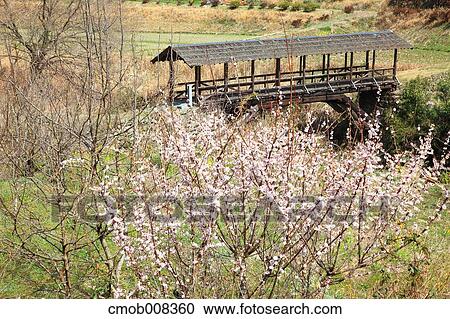 Ehime Prefecture, Japan View Large Photo Image Stock Image - Ehime Prefecture, Japan. Fotosearch