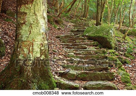Ehime Prefecture, Japan View Large Photo Image Stock Photo - Ehime Prefecture, Japan. Fotosearch